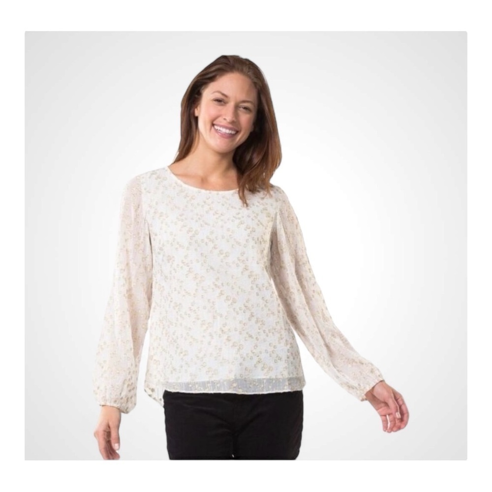 Sail to Sable Metallic Chiffon Long Sleeve Blouse